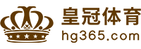 Logo 鼎丰娱乐
